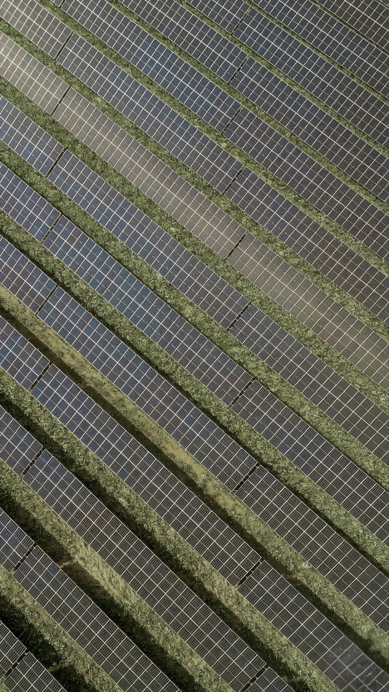Luftbild einer Freiflächenanlage: Modulreihen in Diagonalen, dazwischen Grünstreifen